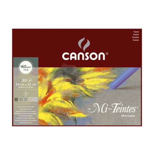 Canson Mi-Teintes Pastel Defteri Gri Tonlar 30 Yaprak 160g