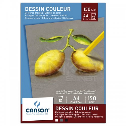 Canson Pastel Paper Pad Pastel Kağıdı Defteri 150g 12 Yaprak A4