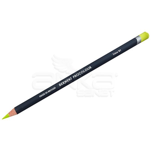 Derwent Procolour Kuru Boya Kalem Seti 24lü 2302506