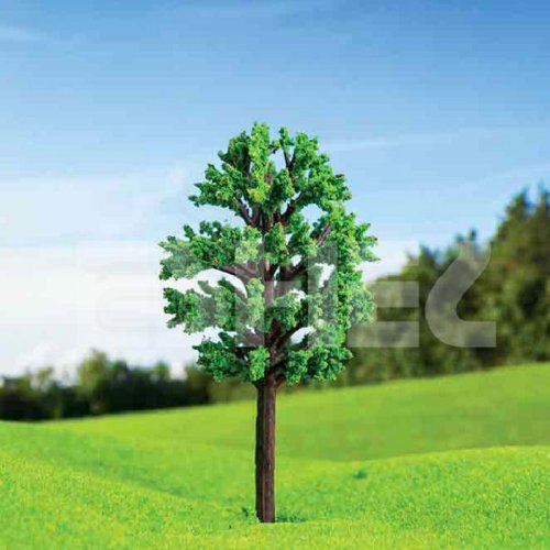 Eshel Zelkova Ağacı 6cm Paket İçi:2