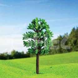 Eshel - Eshel Zelkova Ağacı 7cm Paket İçi:3