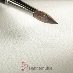 Hahnemühle - Hahnemühle 200 Sulu Boya Tabaka 200g Rough 50x65 10lu (1)