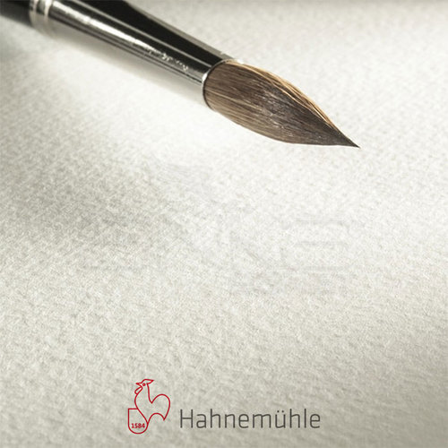 Hahnemühle 200 Sulu Boya Tabaka 200g Rough 50x65 10lu