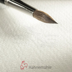 Hahnemühle - Hahnemühle 300 Sulu Boya Tabaka 300g Rough 50x65 10lu (1)