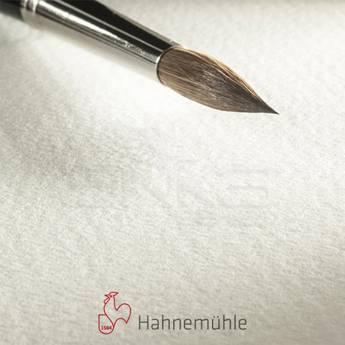 Hahnemühle 300 Sulu Boya Tabaka 300g Rough 50x65 10lu