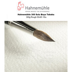 Hahnemühle - Hahnemühle 300 Sulu Boya Tabaka 300g Rough 50x65 10lu