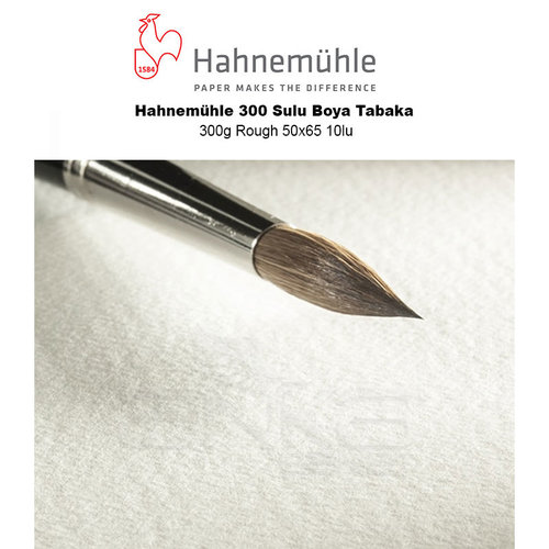 Hahnemühle 300 Sulu Boya Tabaka 300g Rough 50x65 10lu