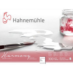 Hahnemühle Harmony Sulu Boya Blok 300g 12 Yaprak Cold Pressed - Thumbnail