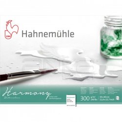 Hahnemühle Harmony Sulu Boya Blok 300g 12 Yaprak Hot Pressed - Thumbnail