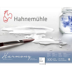 Hahnemühle Harmony Sulu Boya Blok 300g 12 Yaprak Rough Grain - Thumbnail