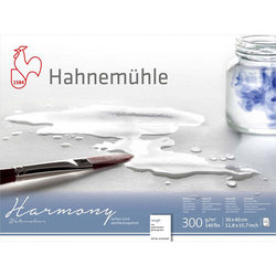 Hahnemühle Harmony Sulu Boya Blok 300g 12 Yaprak Rough Grain - Thumbnail