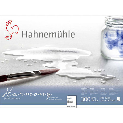 Hahnemühle Harmony Sulu Boya Blok 300g 12 Yaprak Rough Grain