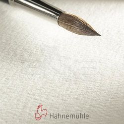 Hahnemühle - Hahnemühle Leonardo Sulu Boya Rough 600g 50x65cm 5li Paket (1)