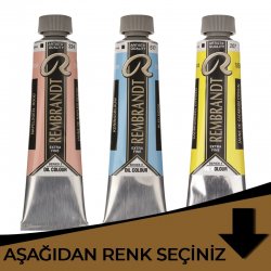 Rembrandt - Rembrandt Yağlı Boya 40ml Kahverengi Tonlar