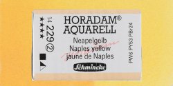 Schmincke - Schmincke Horadam Aquarell 1/1 Tablet 229 Naples Yellow seri 2