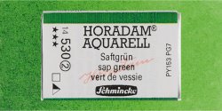 Makin's Clay - Schmincke Horadam Aquarell 1/1 Tablet 530 Sap Green seri 2