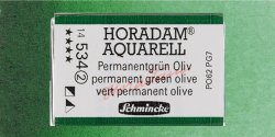 Makin's Clay - Schmincke Horadam Aquarell 1/1 Tablet 534 Permanent Green Olive seri 2