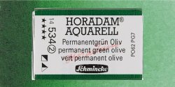Schmincke - Schmincke Horadam Aquarell 1/1 Tablet 534 Permanent Green Olive seri 2