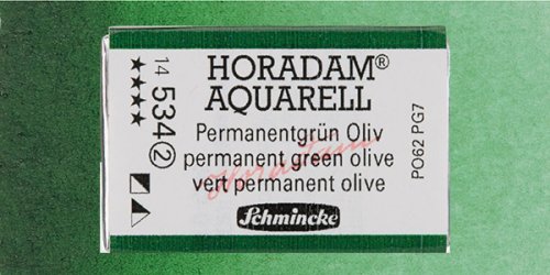 Schmincke Horadam Aquarell 1/1 Tablet 534 Permanent Green Olive seri 2 - 534 Permanent Green Olive