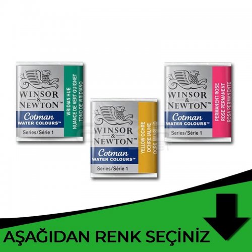 Winsor & Newton Cotman Sulu Boya 1/2 Tablet Yeşil Tonlar